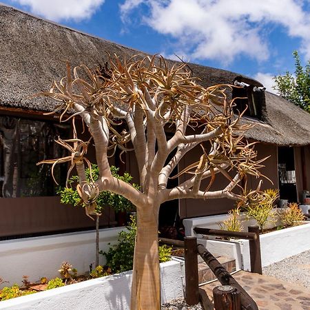 Kleinplasie Guesthouse Springbok Dış mekan fotoğraf